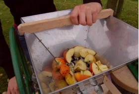 Apples being crushed by a fruit crusher.