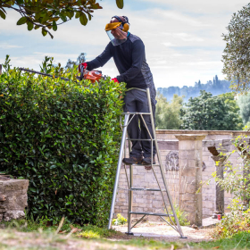 Man on 6ft Henchman Ladder trimming top of hedge