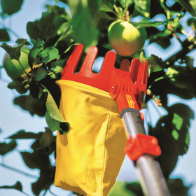 Apple picker in use collecting apples