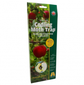Codling Moth Trap
