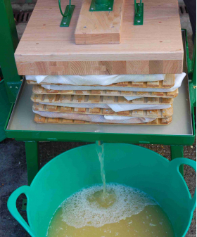 Apple juice pouring from pack press into green tub.