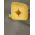 Image from top of hopper